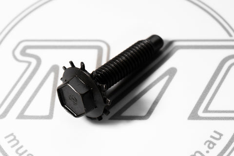 DOOR HINGE BOLT 1966-1968 5/16 XT-XY DOOR HINGE BOLT 1966-1968 5/16 XT-XY