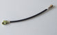 BRAKE HOSE REAR 1965-1966