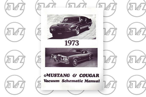 VACUUM SCHEMATIC 1973 VACUUM SCHEMATIC 1973