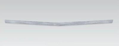 BONNET MOULD 1973 TO PAINT BONNET MOULD 1973 TO PAINT