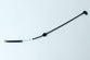 ACCELERATOR CABLE 1969 LEFT HAND DRIVE ONLY