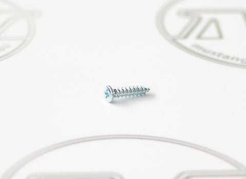 SUNVISOR SCREW