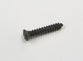 DASH FASCIA SCREW FALCON