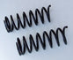 COIL SPRINGS 1965-1966 GT